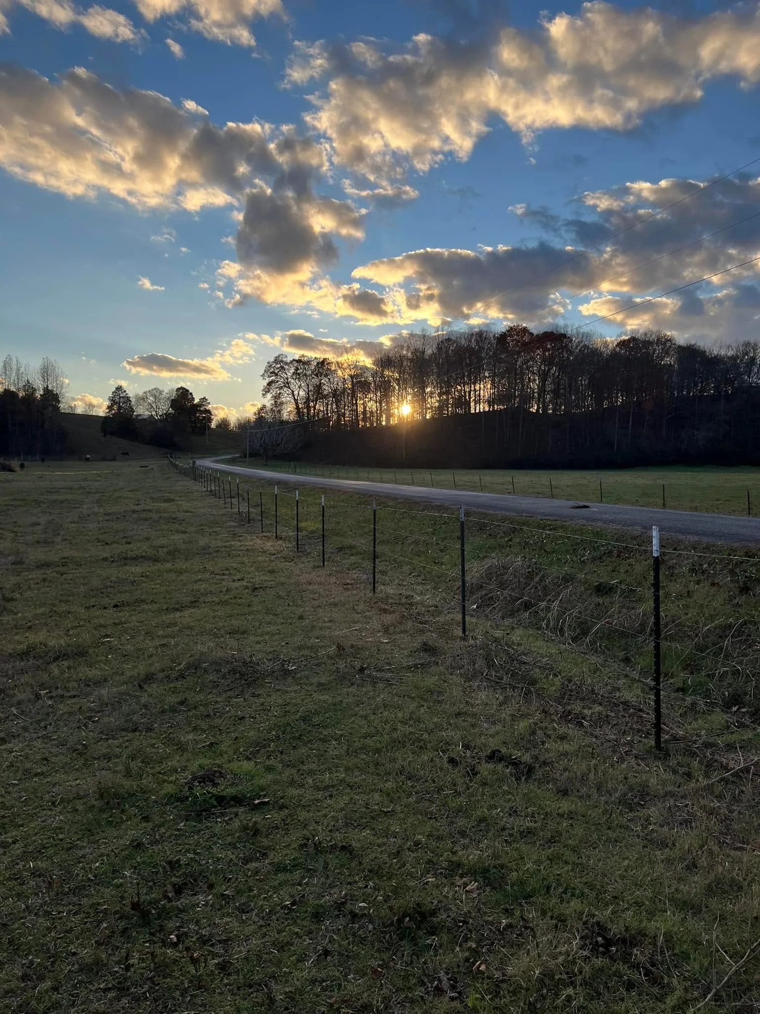 Field fencing alongside a rural road at sunset